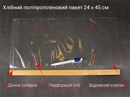 Структура пакета